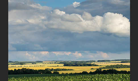 Thüringen (Thuringia)