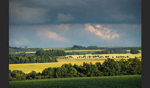 Thüringen (Thuringia)