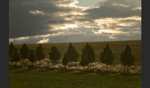 Thüringen (Thuringia)