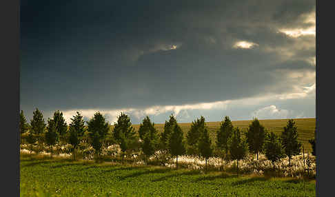 Thüringen (Thuringia)