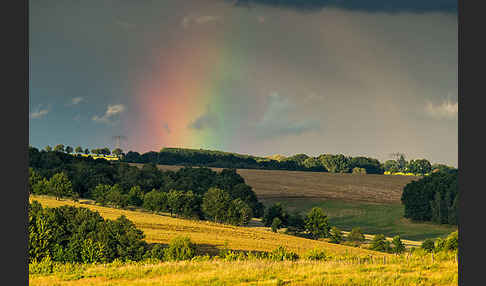 Thüringen (Thuringia)