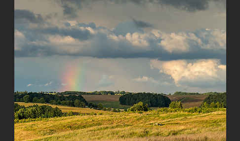 Thüringen (Thuringia)