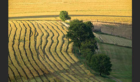 Thüringen (Thuringia)