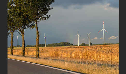 Windkraftanlage (wind turbine)