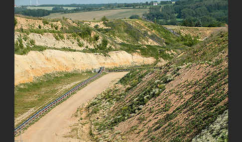 Thüringen (Thuringia)