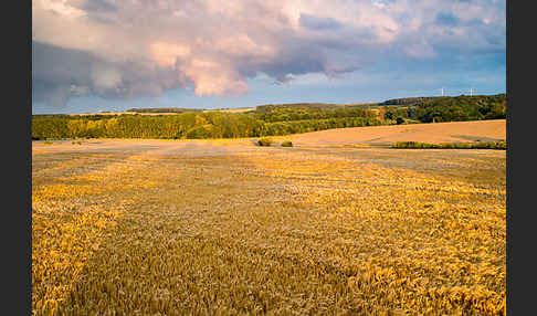 Thüringen (Thuringia)