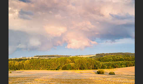 Thüringen (Thuringia)