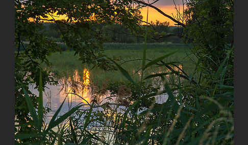 Thüringen (Thuringia)