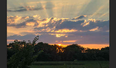 Thüringen (Thuringia)