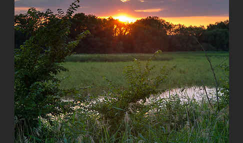 Thüringen (Thuringia)