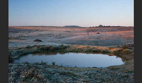 Thüringen (Thuringia)