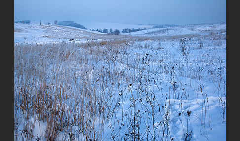 Thüringen (Thuringia)