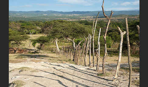 Aethiopien (Ethiopia)