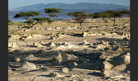 Aethiopien (Ethiopia)