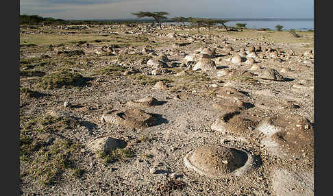 Aethiopien (Ethiopia)