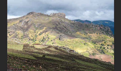 Aethiopien (Ethiopia)