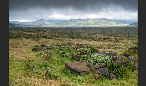 Aethiopien (Ethiopia)