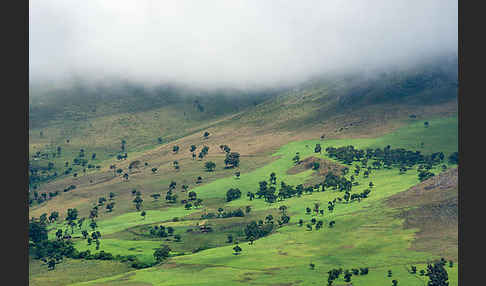 Aethiopien (Ethiopia)