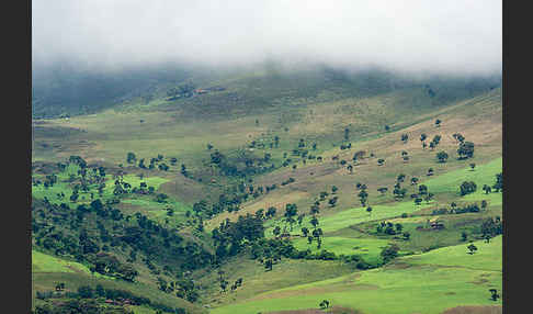 Aethiopien (Ethiopia)