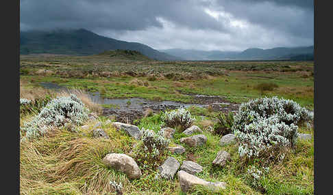 Aethiopien (Ethiopia)