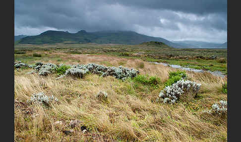 Aethiopien (Ethiopia)