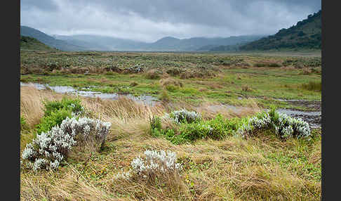 Aethiopien (Ethiopia)