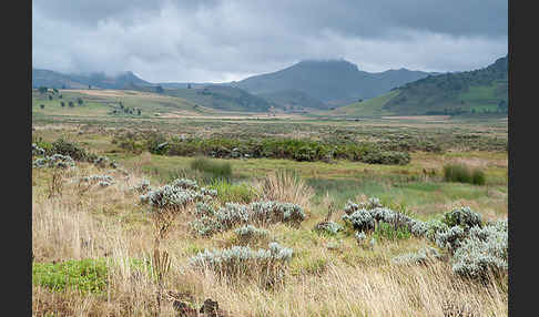 Aethiopien (Ethiopia)