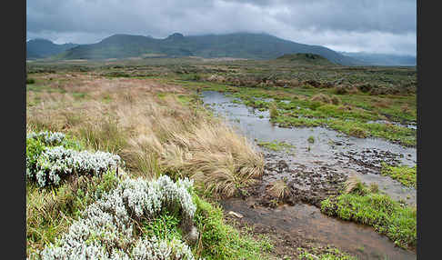 Aethiopien (Ethiopia)