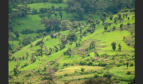 Aethiopien (Ethiopia)