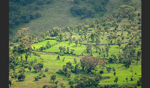 Aethiopien (Ethiopia)