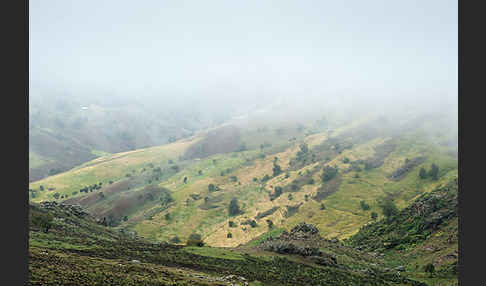 Aethiopien (Ethiopia)