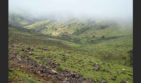 Aethiopien (Ethiopia)