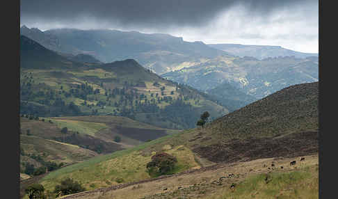 Aethiopien (Ethiopia)