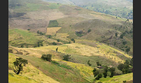 Aethiopien (Ethiopia)