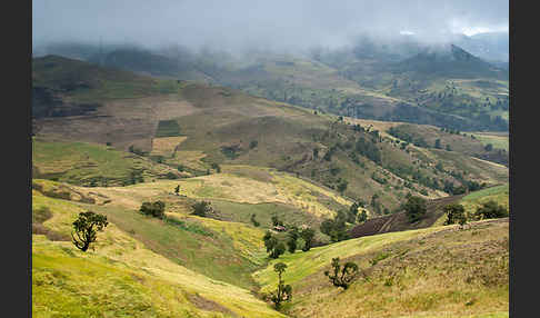 Aethiopien (Ethiopia)