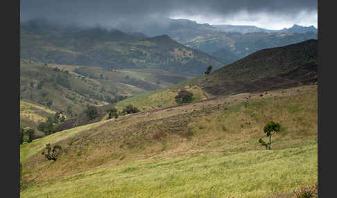 Aethiopien (Ethiopia)