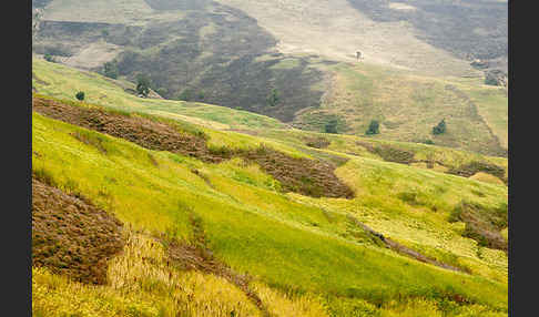 Aethiopien (Ethiopia)