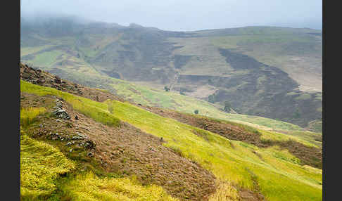 Aethiopien (Ethiopia)