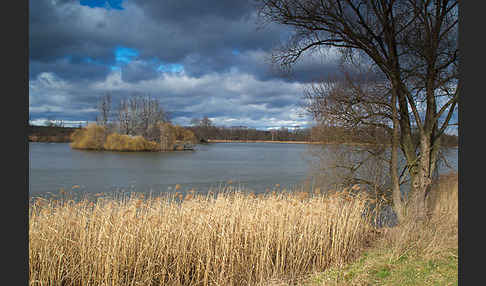 Thüringen (Thuringia)