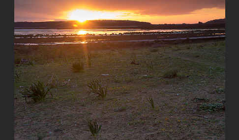 Marokko (Morocco)