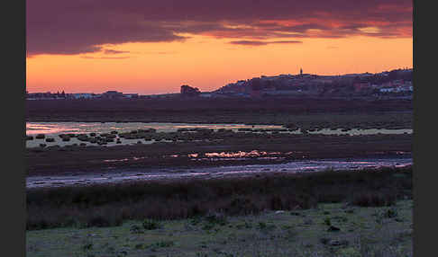 Marokko (Morocco)