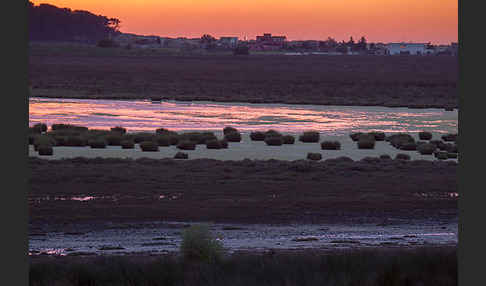 Marokko (Morocco)