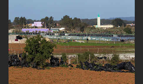 Marokko (Morocco)