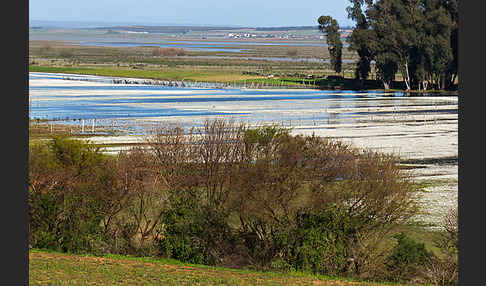 Marokko (Morocco)