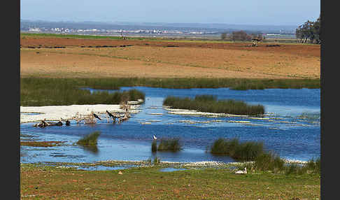 Marokko (Morocco)