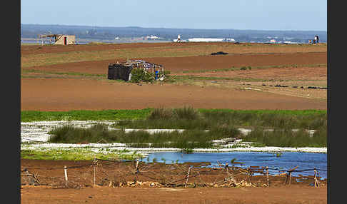 Marokko (Morocco)