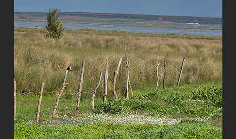 Marokko (Morocco)