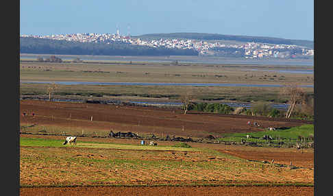 Marokko (Morocco)