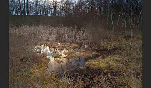 Thüringen (Thuringia)