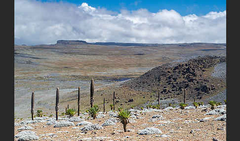 Aethiopien (Ethiopia)